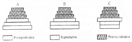 Plus Two Botany Chapter Wise Previous Questions Chapter 6 Organisms and Populations 4