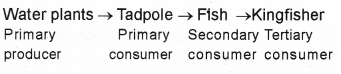 Plus Two Botany Chapter Wise Previous Questions Chapter 7 Ecosystem 1