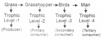 Plus Two Botany Chapter Wise Previous Questions Chapter 7 Ecosystem 12