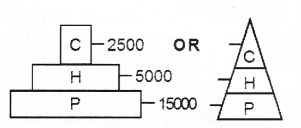 Plus Two Botany Chapter Wise Previous Questions Chapter 7 Ecosystem 2