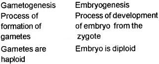 Plus Two Botany Chapter Wise Questions and Answers Chapter 1 Reproduction in Organisms 2M Q11