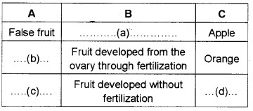 Plus Two Botany Chapter Wise Questions and Answers Chapter 2 Sexual Reproduction in Flowering Plants 2M Q40