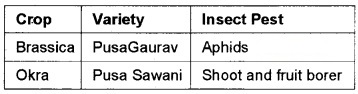 Plus Two Botany Chapter Wise Questions and Answers Chapter 3 Strategies for Enhancement in Food Production 2M Q26