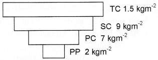 Plus Two Botany Chapter Wise Questions and Answers Chapter 7 Ecosystem 2M Q19.1