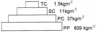 Plus Two Botany Chapter Wise Questions and Answers Chapter 7 Ecosystem 2M Q19