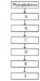 Plus Two Botany Chapter Wise Questions and Answers Chapter 7 Ecosystem 2M Q40