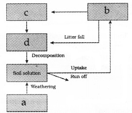 Plus Two Botany Chapter Wise Questions and Answers Chapter 7 Ecosystem 2M Q49