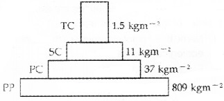 Plus Two Botany Chapter Wise Questions and Answers Chapter 7 Ecosystem 2M Q50