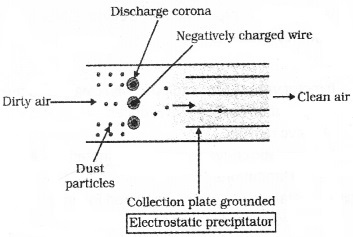 Plus Two Botany Chapter Wise Questions and Answers Chapter 8 Environmental Issues 2M Q12