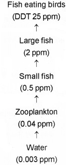 Plus Two Botany Chapter Wise Questions and Answers Chapter 8 Environmental Issues 2M Q19