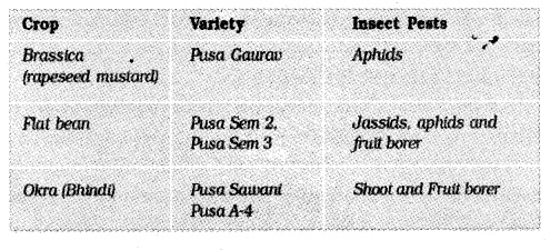 Plus Two Botany Notes Chapter 3 Strategies for Enhancement in Food Production 3