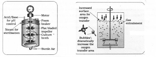 Plus Two Botany Notes Chapter 4 Biotechnology Principles and Processes 7