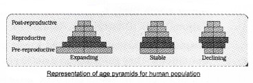 Plus Two Botany Notes Chapter 6 Organisms and Populations 4