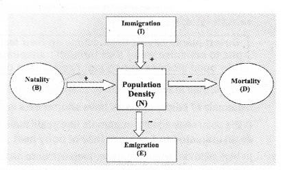 Plus Two Botany Notes Chapter 6 Organisms and Populations 5