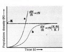 Plus Two Botany Notes Chapter 6 Organisms and Populations 6