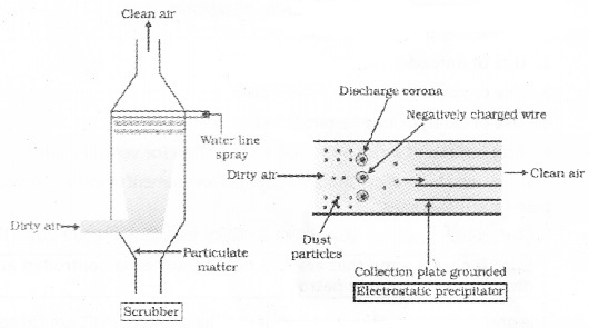 Plus Two Botany Notes Chapter 8 Environmental Issues 1