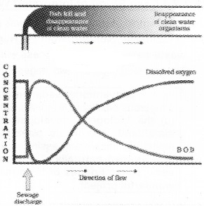 Plus Two Botany Notes Chapter 8 Environmental Issues 2