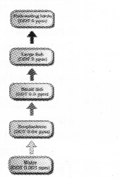 Plus Two Botany Notes Chapter 8 Environmental Issues 4