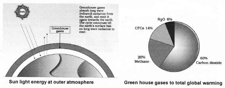 Plus Two Botany Notes Chapter 8 Environmental Issues 5