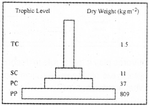 Plus Two Botany Previous Year Question Paper March 2019, 2