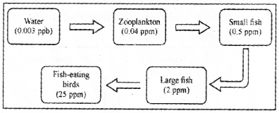 Plus Two Botany Previous Year Question Paper March 2019, 4