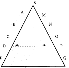 Plus Two Business Studies Chapter Wise Previous Questions Chapter 2 Principles of Management 2