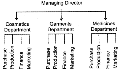 Plus Two Business Studies Previous Year Question Paper March 2019, 2