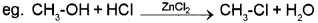 Plus Two Chemistry Chapter Wise Previous Questions Chapter 10 Haloalkanes and Haloarenes 1