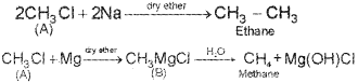 Plus Two Chemistry Chapter Wise Previous Questions Chapter 10 Haloalkanes and Haloarenes 4