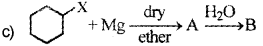 Plus Two Chemistry Chapter Wise Previous Questions Chapter 10 Haloalkanes and Haloarenes 8