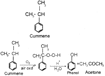 Plus Two Chemistry Chapter Wise Previous Questions Chapter 11 Alcohols, Phenols and Ethers 14