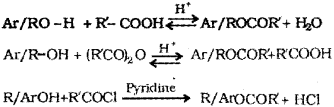 Plus Two Chemistry Chapter Wise Previous Questions Chapter 11 Alcohols, Phenols and Ethers 28