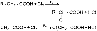 Plus Two Chemistry Chapter Wise Previous Questions Chapter 12 Aldehydes, Ketones and Carboxylic Acids 22