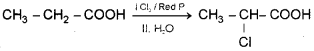 Plus Two Chemistry Chapter Wise Previous Questions Chapter 12 Aldehydes, Ketones and Carboxylic Acids 3