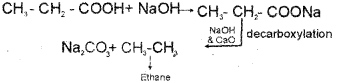 Plus Two Chemistry Chapter Wise Previous Questions Chapter 12 Aldehydes, Ketones and Carboxylic Acids 30