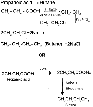 Plus Two Chemistry Chapter Wise Previous Questions Chapter 12 Aldehydes, Ketones and Carboxylic Acids 31