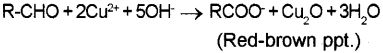 Plus Two Chemistry Chapter Wise Previous Questions Chapter 12 Aldehydes, Ketones and Carboxylic Acids 56