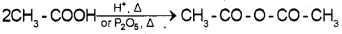 Plus Two Chemistry Chapter Wise Previous Questions Chapter 12 Aldehydes, Ketones and Carboxylic Acids 65