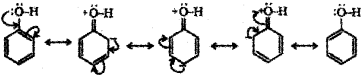 Plus Two Chemistry Chapter Wise Previous Questions Chapter 12 Aldehydes, Ketones and Carboxylic Acids 8