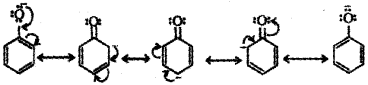 Plus Two Chemistry Chapter Wise Previous Questions Chapter 12 Aldehydes, Ketones and Carboxylic Acids 9