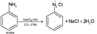 Plus Two Chemistry Chapter Wise Previous Questions Chapter 13 Amines 14