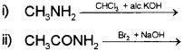 Plus Two Chemistry Chapter Wise Previous Questions Chapter 13 Amines 15