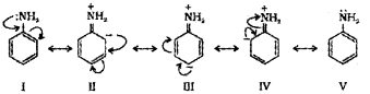 Plus Two Chemistry Chapter Wise Previous Questions Chapter 13 Amines 17