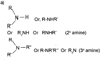 Plus Two Chemistry Chapter Wise Previous Questions Chapter 13 Amines 19