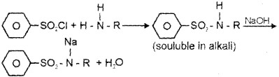 Plus Two Chemistry Chapter Wise Previous Questions Chapter 13 Amines 5