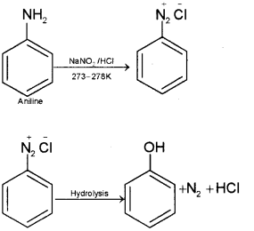 Plus Two Chemistry Chapter Wise Previous Questions Chapter 13 Amines 8