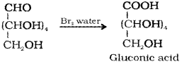 Plus Two Chemistry Chapter Wise Previous Questions Chapter 14 Biomolecules 1