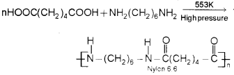 Plus Two Chemistry Chapter Wise Previous Questions Chapter 15 Polymers 1