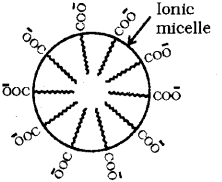 Plus Two Chemistry Chapter Wise Previous Questions Chapter 5 Surface Chemistry 2