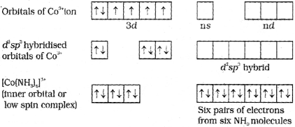 Plus Two Chemistry Chapter Wise Previous Questions Chapter 9 Coordination Compounds 1